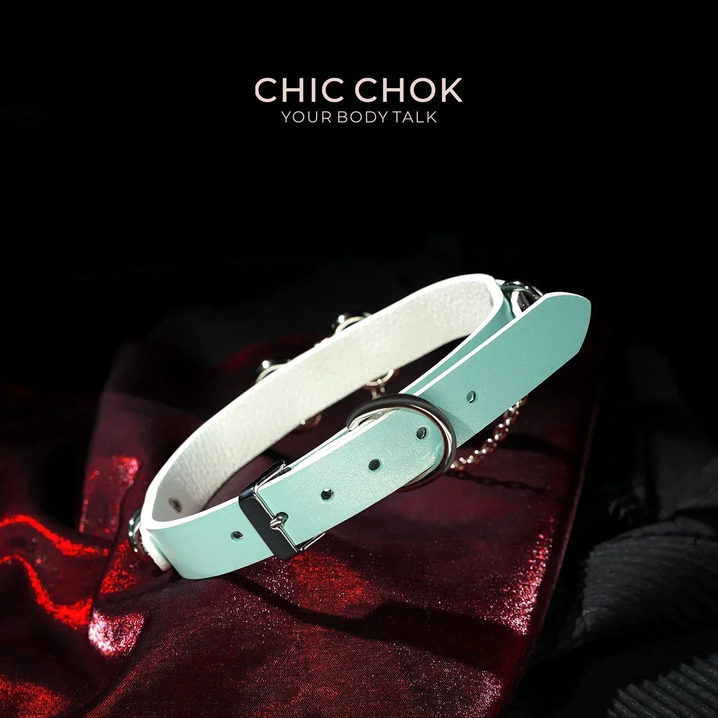 Cotton Candy Puppy - Pastel Blue & Pink Bone Choker - CHICCHOK