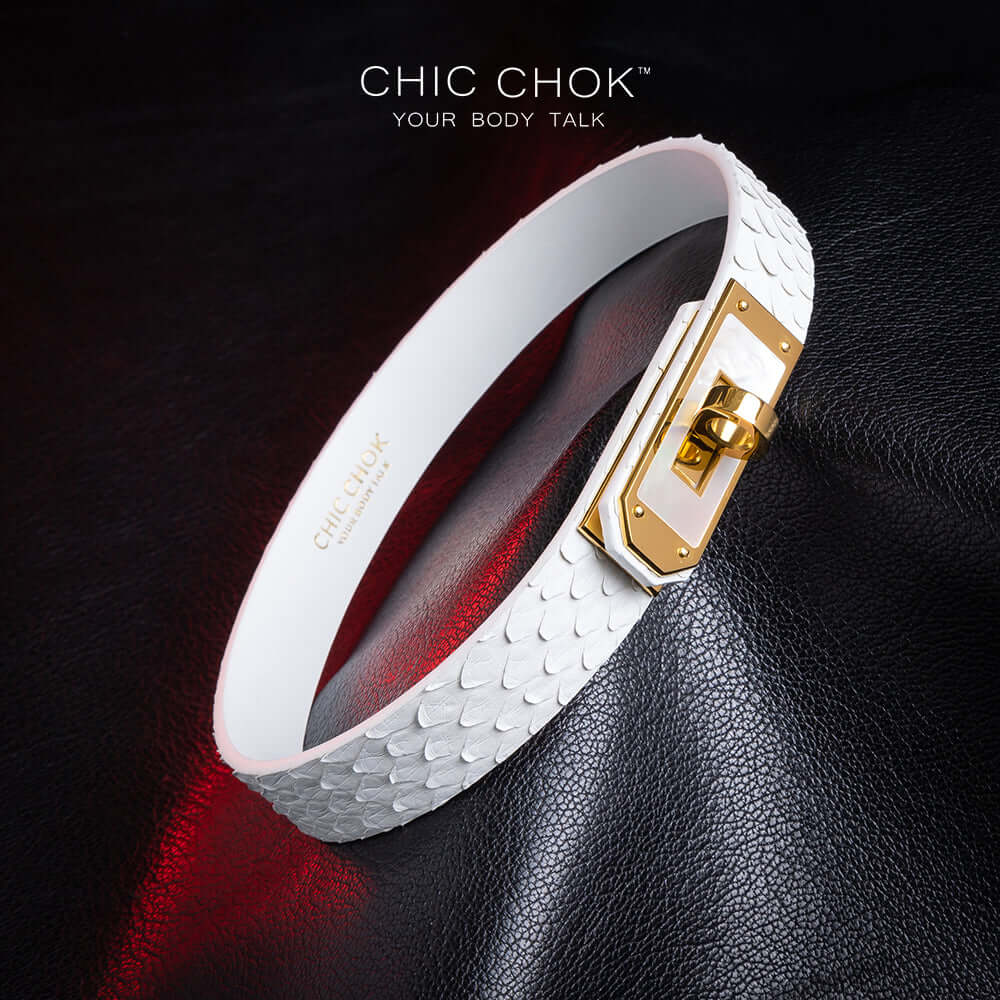 chicchok athena white python hide collar sea shell buckle pure clean elegant design