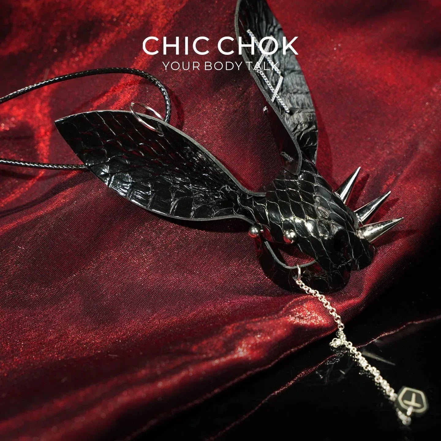 Spiky Rabbit - CHICCHOK