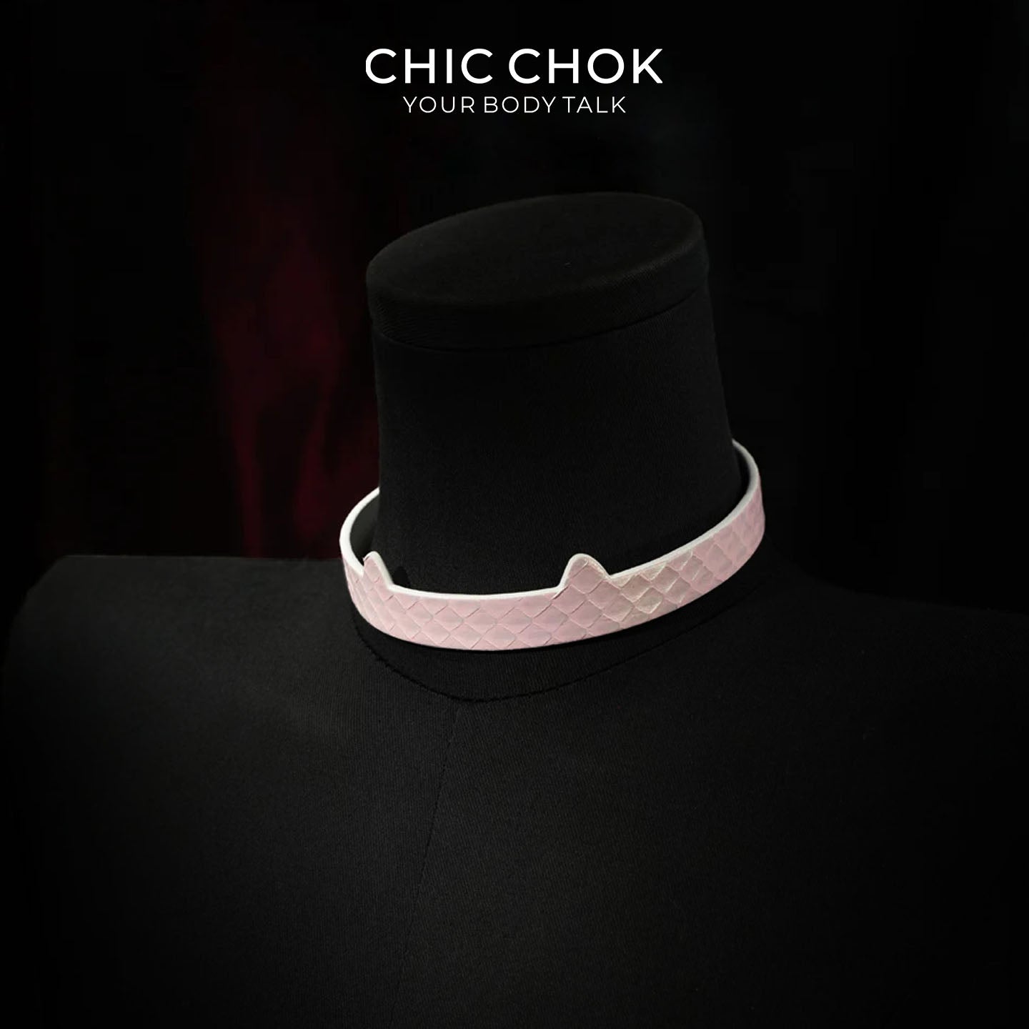 CHIC CHOK The Serpent’s Gaze